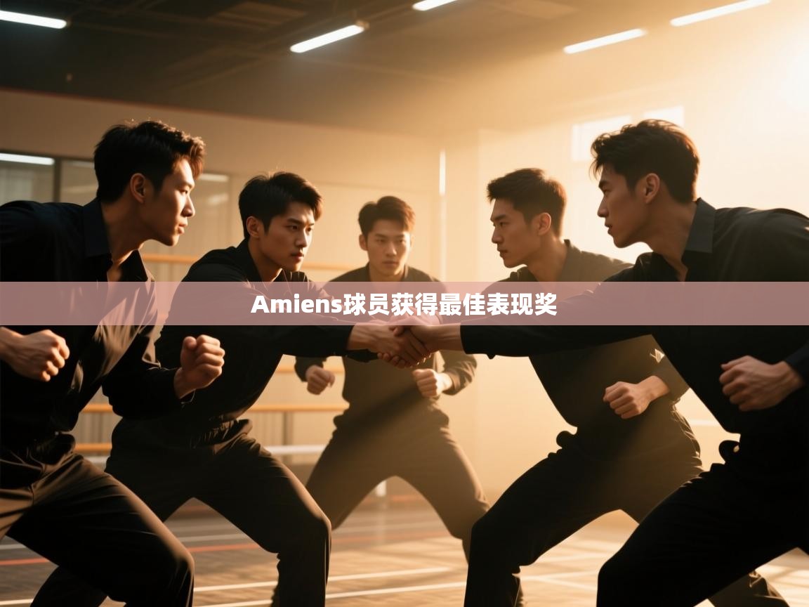 Amiens球员获得最佳表现奖  第2张