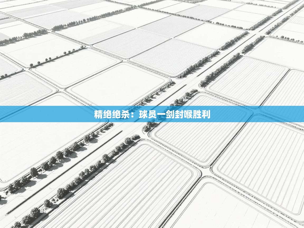 精绝绝杀：球员一剑封喉胜利  第2张