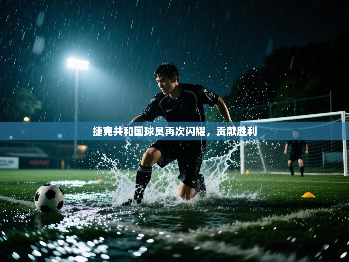 捷克共和国球员再次闪耀，贡献胜利  第2张