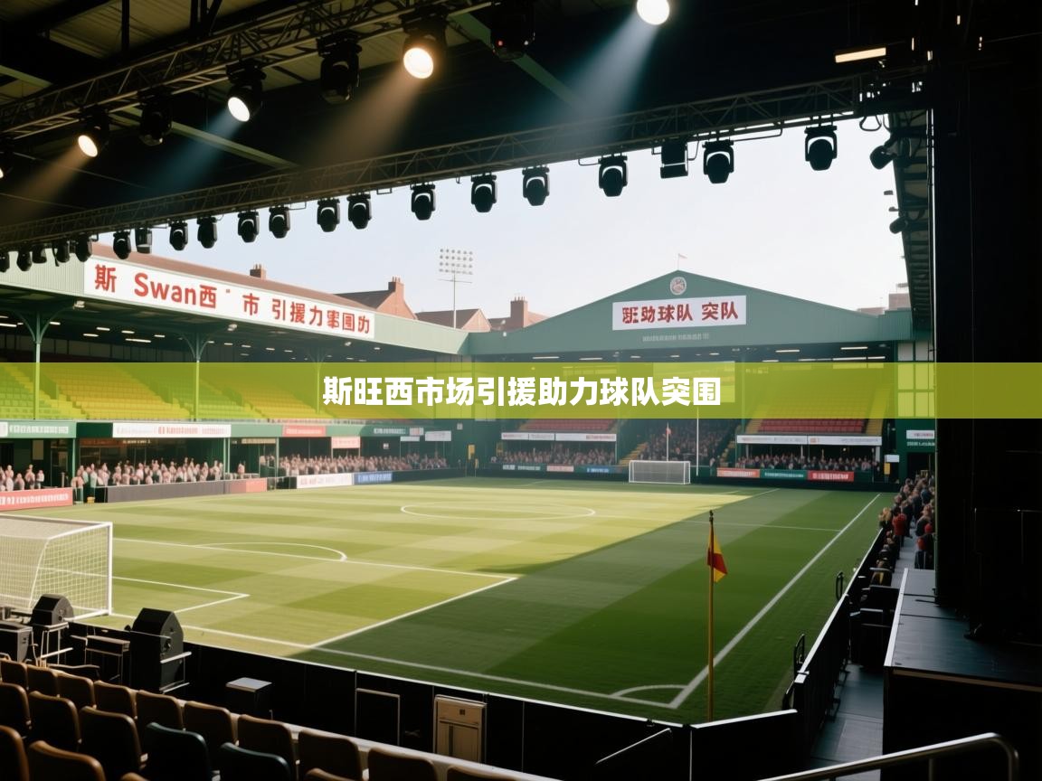 斯旺西市场引援助力球队突围  第2张