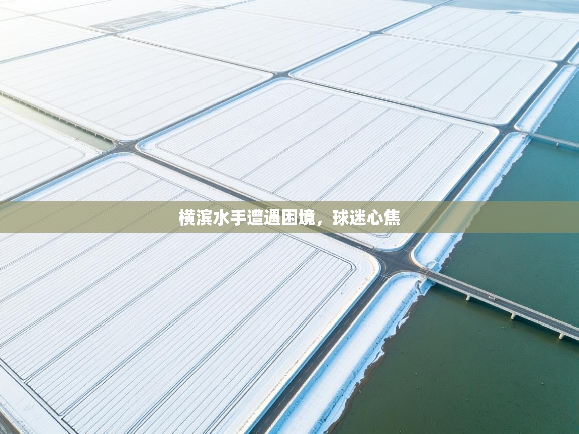 横滨水手遭遇困境，球迷心焦  第1张