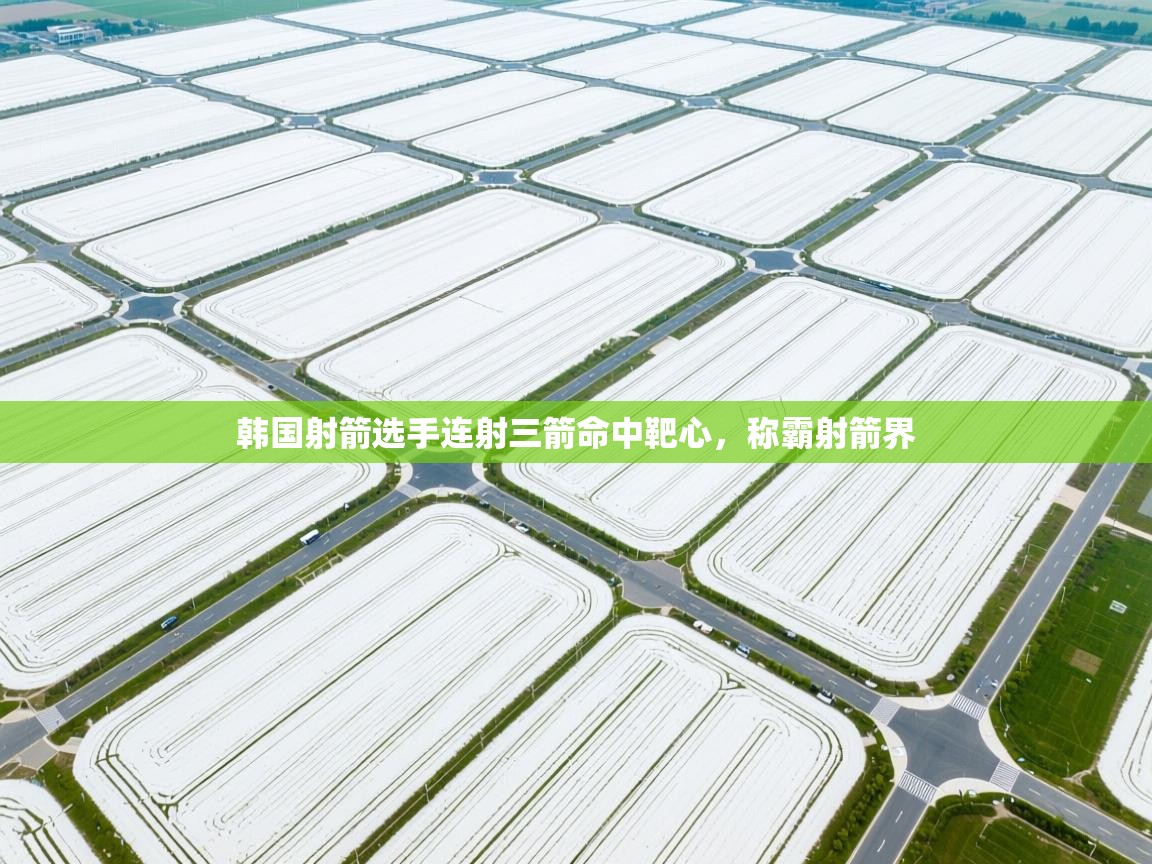 韩国射箭选手连射三箭命中靶心，称霸射箭界  第2张