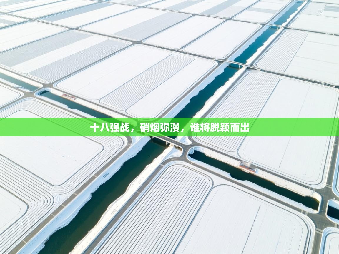 十八强战，硝烟弥漫，谁将脱颖而出  第1张