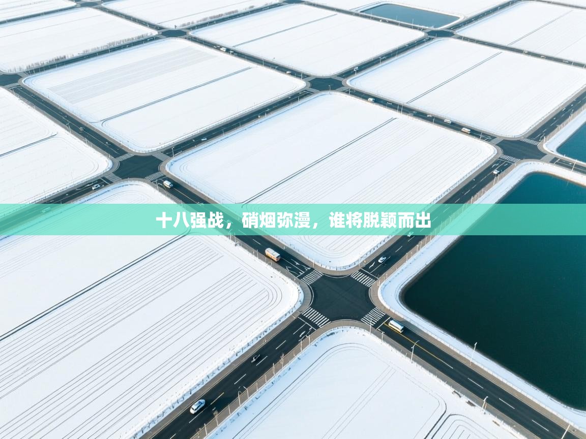 十八强战，硝烟弥漫，谁将脱颖而出  第2张