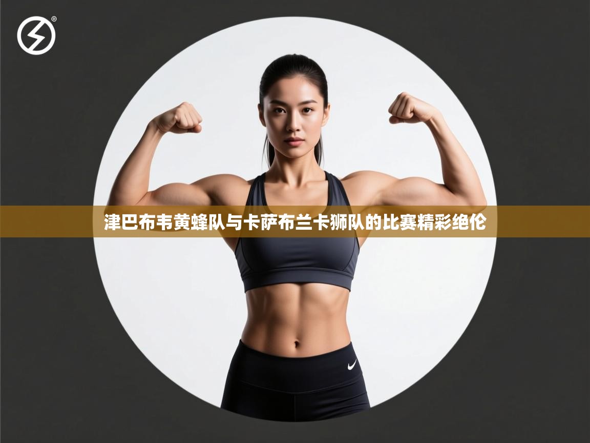 津巴布韦黄蜂队与卡萨布兰卡狮队的比赛精彩绝伦  第2张